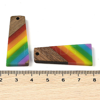 Pride Rainbow Theme Resin & Walnut Wood Pendants WOOD-K012-10B-1
