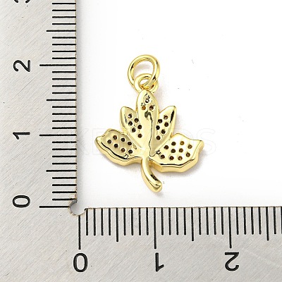 Brass with Cubic Zirconia Pendants FIND-Z023-05G-1