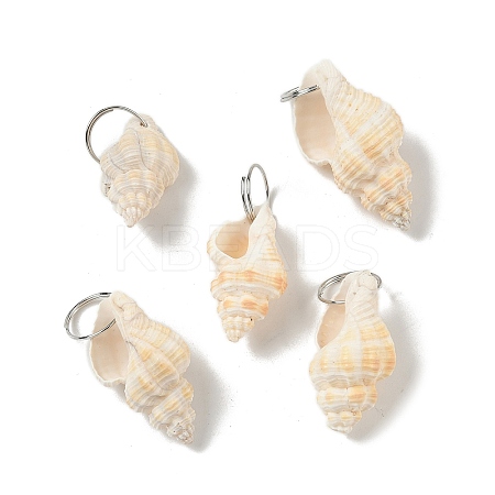 Natural Spiral Shell Pendants SHEL-K006-68C-1