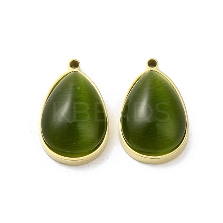 304 Stainless Steel Pendants STAS-L022-045G-08-1