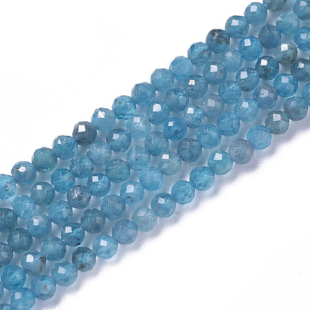 Natural Apatite Beads Strands G-F596-29-2mm-1