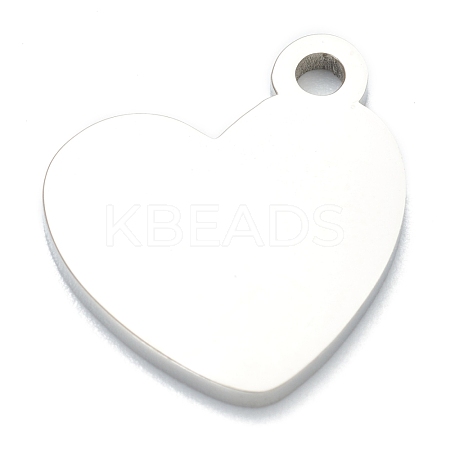 Non-Tarnish 304 Stainless Steel Pendants STAS-B016-03P-1