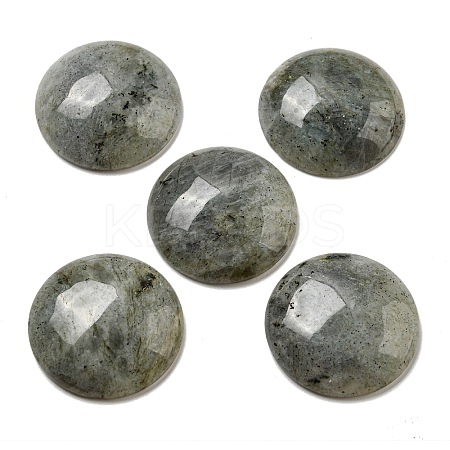 Natural Labradorite Cabochons G-C115-02B-26-1