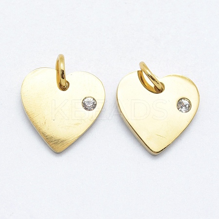 316 Surgical Stainless Steel Pendants X-STAS-K178-05G-1