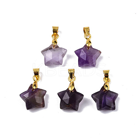 Natural Amethyst Charms X-G-N326-142-03-1