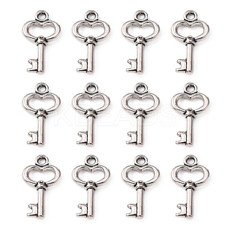 Gifts Ideas for Her Tibetan Style Alloy Charms LS-LF11975Y-1