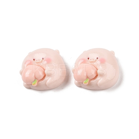 Opaque Resin Decoden Cabochons LS-RESI-K040-01C-1