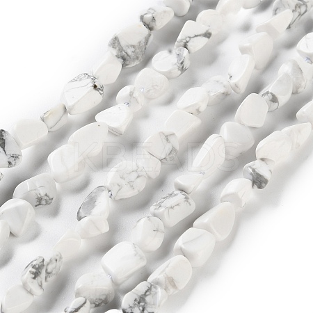 Natural Howlite Beads Strands G-P497-01C-64-1