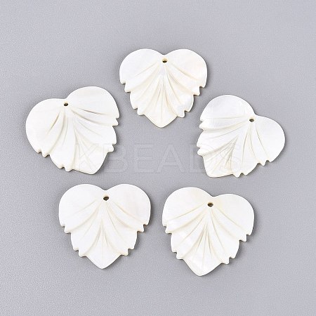 Natural Freshwater Shell Carved Pendants SHEL-Q028-12-1