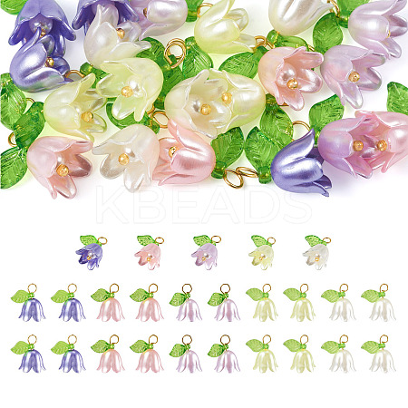 25Pcs 5 Colors Acrylic Charms KY-TA0001-22-1