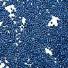 Baking Paint Glass Seed Beads SEED-S042-05B-75-3