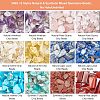 240G 12 Style Natural & Synthetic Mixed Gemstone Beads G-NB0003-23-5