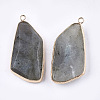 Natural Labradorite Pendants G-T112-20B-2