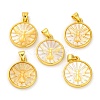 Natural Yellow Shell Carved Moth Pendants KK-D537-04G-01-1