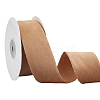 Polyester Ribbon OCOR-WH0070-237A-1