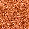 MIYUKI Round Rocailles Beads X-SEED-G008-RR0423-3