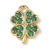 Brass Micro Pave Cubic Zirconia Charms KK-I276-44G-1