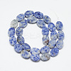Natural Blue Spot Jasper Beads Strands G-T122-04M-2