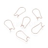 304 Stainless Steel Hoop Earring Findings STAS-P223-01RG-02-1