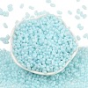 Baking Paint Glass Seed Beads SEED-L011-09A-08-2