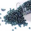 TOHO Round Seed Beads SEED-TR08-0167BD-1