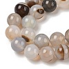 Natural Dendritic Agate Beads Strands G-A248-A07-03-4