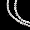 Natural White Shell Beads G-N0190-11-2mm-7