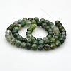 Natural Moss Agate Round Bead Strands G-N0120-30-8mm-4