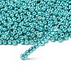 TOHO 6/0 Round Beads X-SEED-TR06-PF0569-2