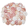500G Natural Shell Ornaments DJEW-FH0001-35A-1