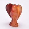 Natural Red Agate Home Display Decorations DJEW-L009A-03-3
