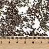 Electroplate Glass Seed Beads SEED-H003-10I-4