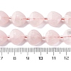 Natural Rose Quartz Beads Strands G-P570-E16-02-5