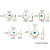 20Pcs 5 Styles Alloy Evil Eye Pendants FIND-CJ0001-47-7