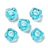 Transparent Resin European Beads RESI-B020-01E-1