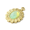 Ion Plating(IP) Real 14K Gold Plated 304 Stainless Steel with Glass Pendant FIND-Z028-30F-2