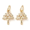 Rack Plating Brass Micro Pave Clear Cubic Zirconia Charms X-KK-D097-05G-1