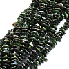 Natural Seraphinite Beads Strands G-E569-K02-1