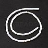 Natural Freshwater Shell Beads Strands X-SHEL-M018-10-3