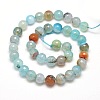 Dyed Natural Agate Faceted Round Beads Strands G-E268-04-3