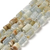 Natural Blue Calcite Beads Strands G-N327-06-05-1