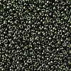 MIYUKI Round Rocailles Beads SEED-G007-RR0459-3