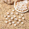 10Pcs Natural Cultured Freshwater Pearl Beads PEAR-YW0001-35-1