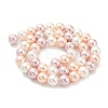 Electroplated Natural Shell Beads Strands SHEL-F008-03B-06-2