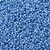 MIYUKI Delica Beads X-SEED-J020-DB2176-3