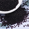 MIYUKI Round Rocailles Beads SEED-G007-RR2402-1