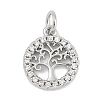 Brass Micro Pave Clear Cubic Zirconia Charms KK-G522-46P-1