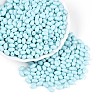 Baking Paint Glass Seed Beads SEED-T007-15L-3