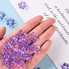 Transparent Acrylic Bead Frames TACR-S153-01A-47-5