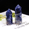 Point Tower Natural Sodalite Home Display Decoration PW-WG54681-02-3